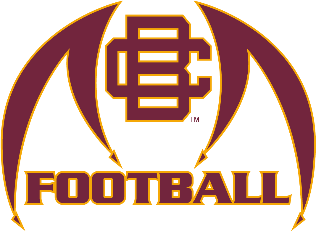 Bethune-Cookman Wildcats 2010-2015 Misc Logo t shirts iron on transfers